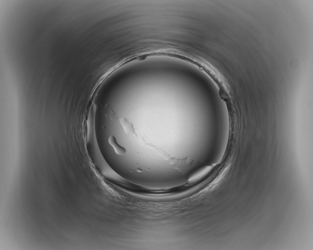 X0000116261001200911301149