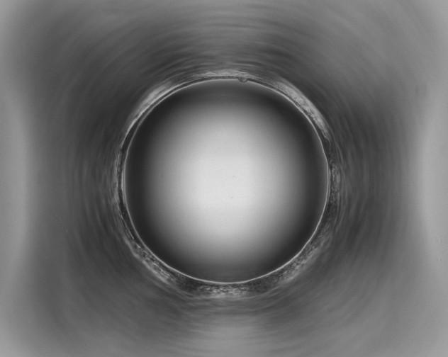 X0000116261002200911301149