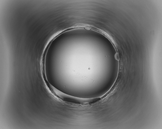 X0000116261003200911301149