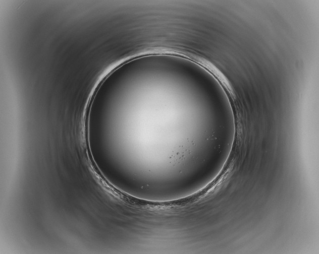 X0000116261004200911301149
