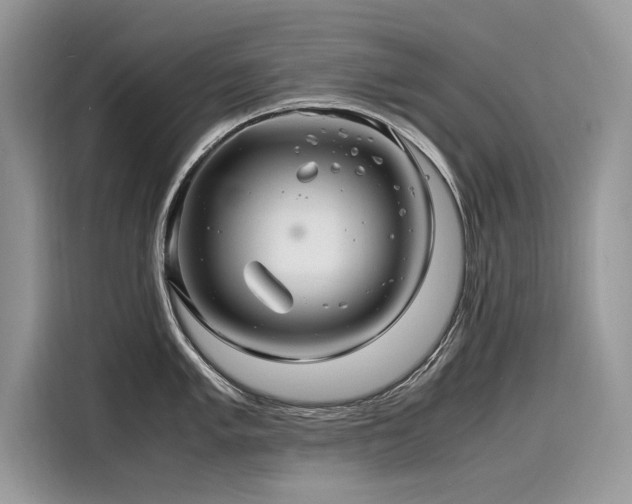 X0000116261005200911301149