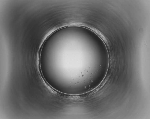 X0000116261006200911301149