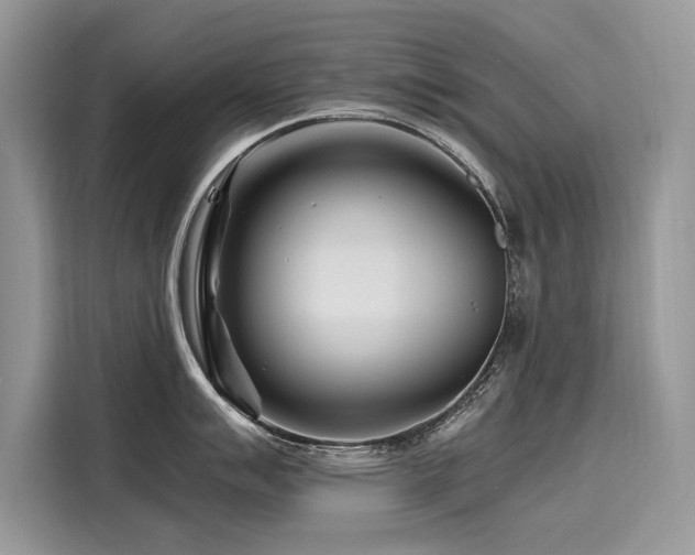 X0000116261007200911301149