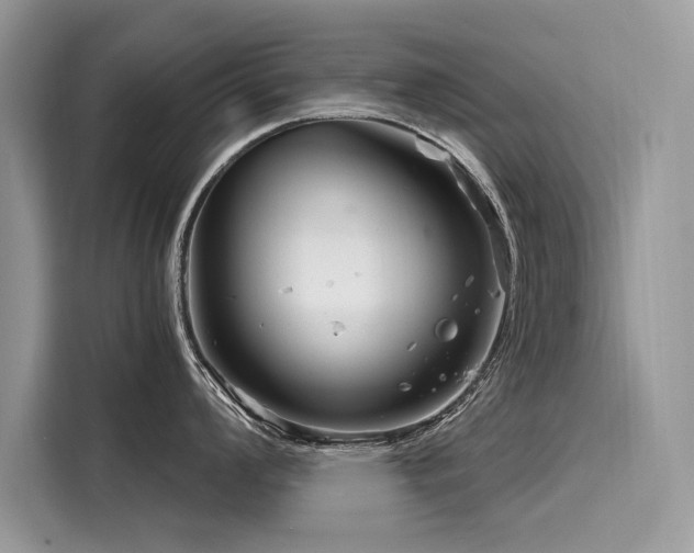 X0000116261008200911301149
