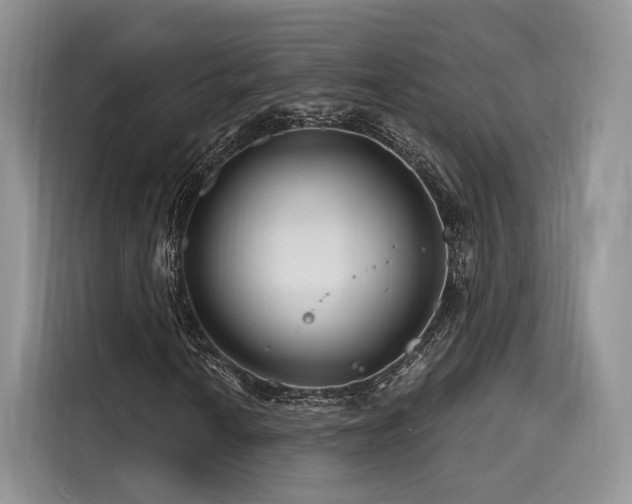X0000116261010200911301149