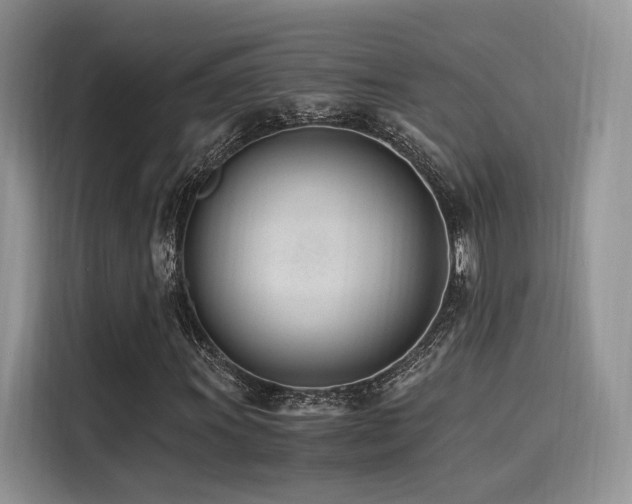 X0000116261011200911301149