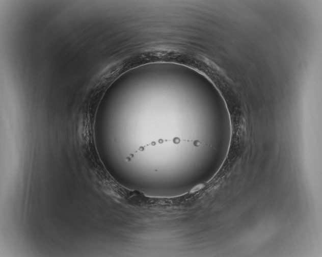 X0000116261014200911301149