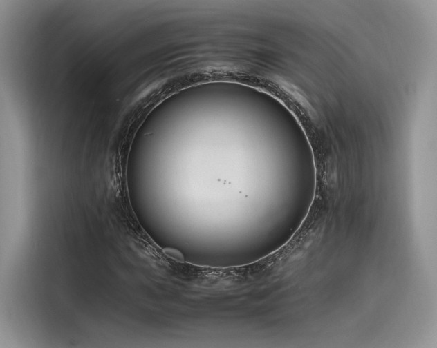 X0000116261015200911301149