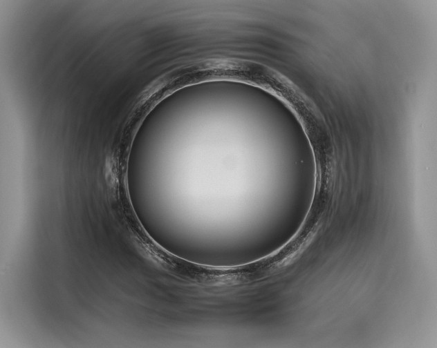 X0000116261017200911301149