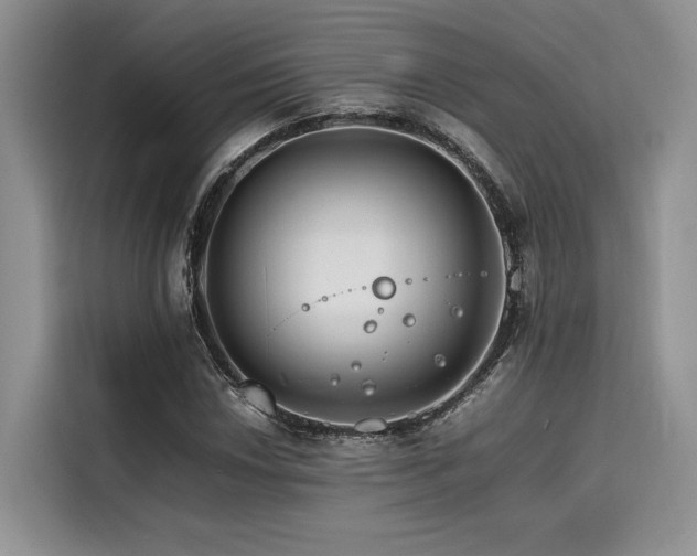 X0000116261018200911301149