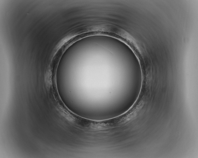 X0000116261019200911301149