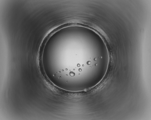 X0000116261020200911301149