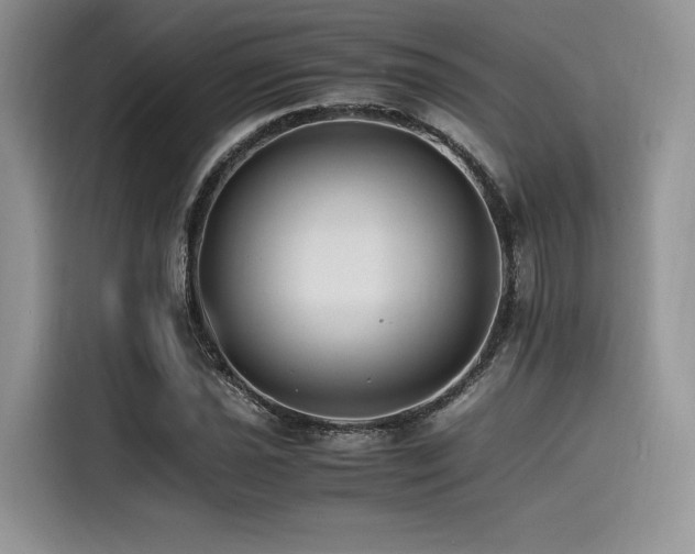 X0000116261021200911301149