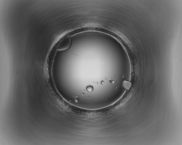 X0000116261022200911301149
