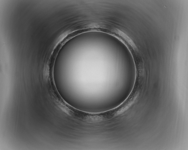X0000116261023200911301149