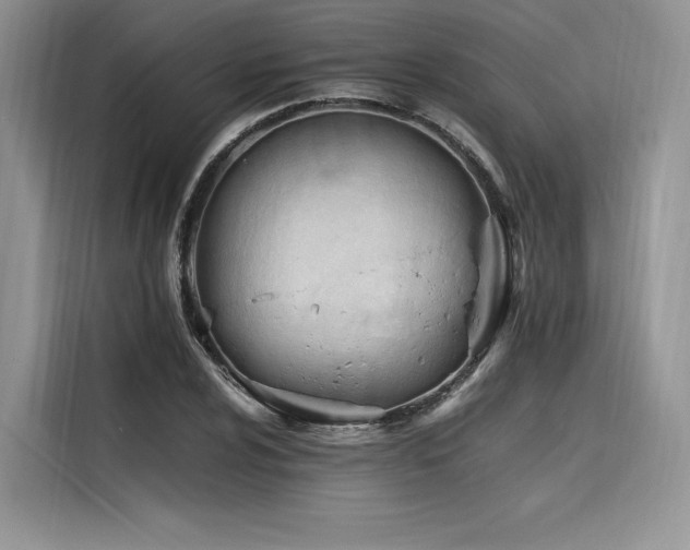 X0000116261024200911301149
