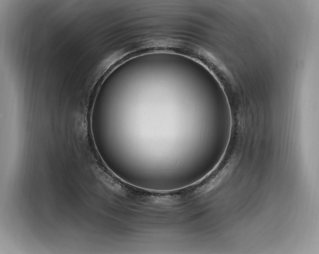 X0000116261025200911301149