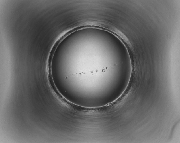 X0000116261028200911301149