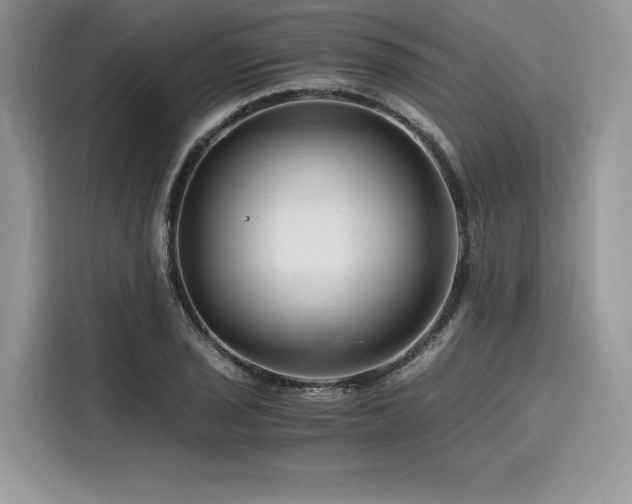 X0000116261029200911301149