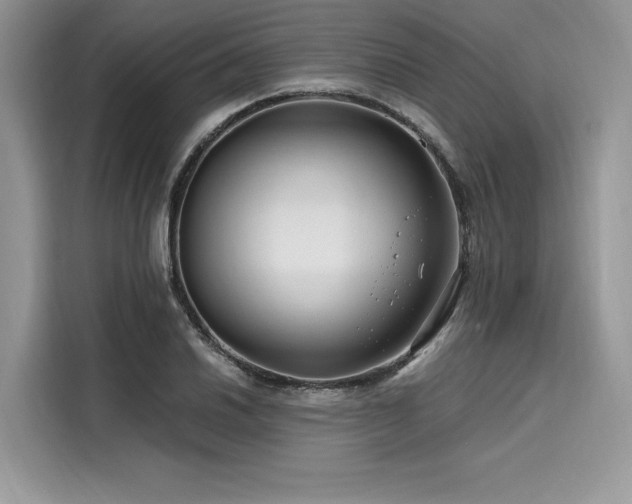 X0000116261030200911301149