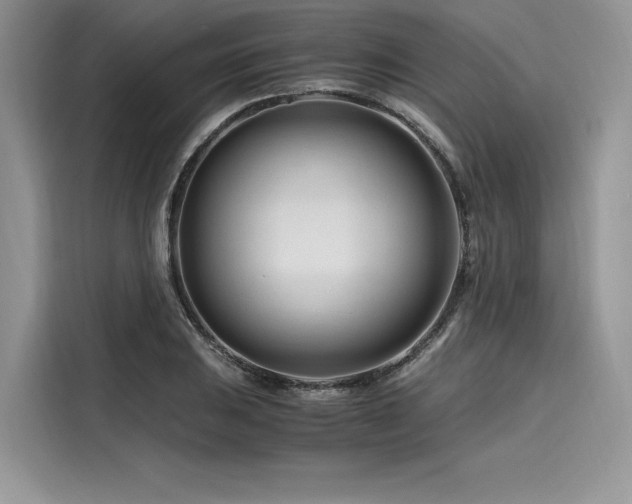 X0000116261031200911301149