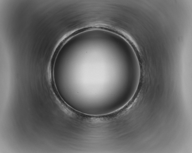 X0000116261032200911301149