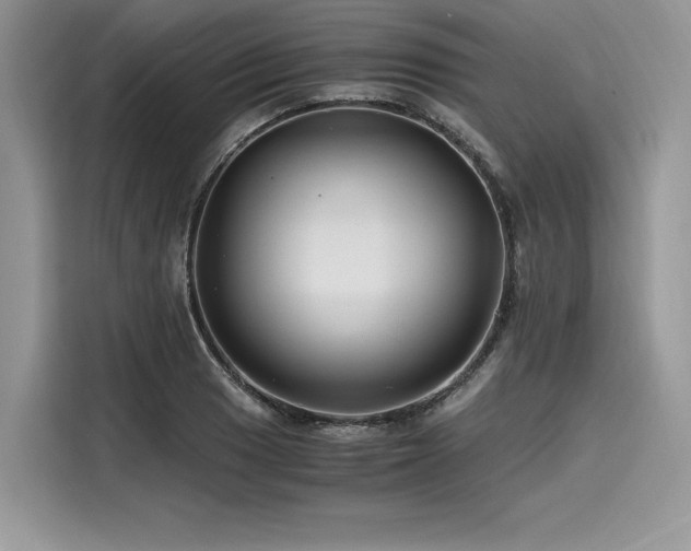 X0000116261033200911301149