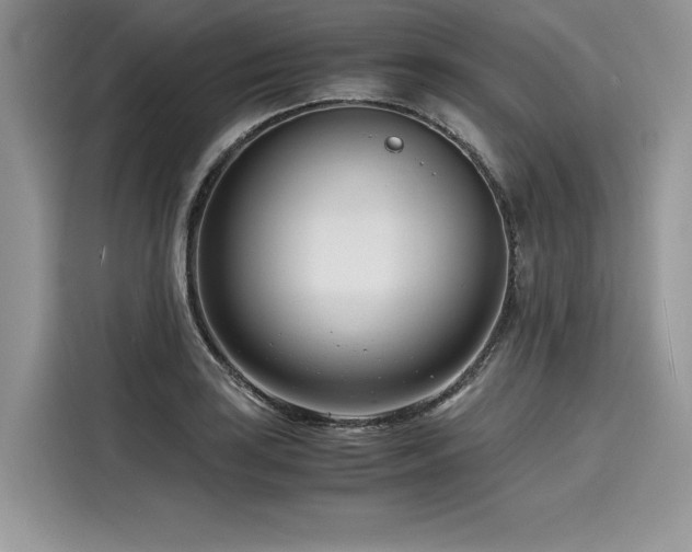 X0000116261035200911301149