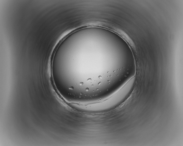 X0000116261036200911301149