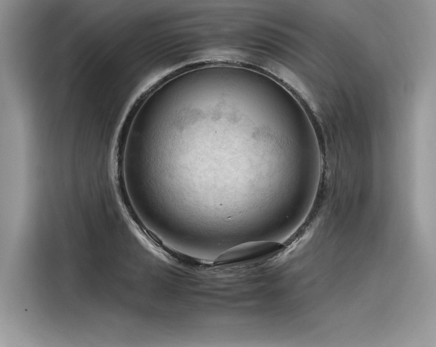 X0000116261037200911301149
