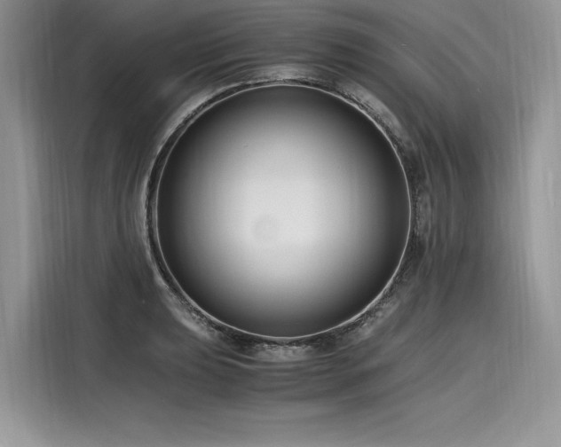 X0000116261039200911301149