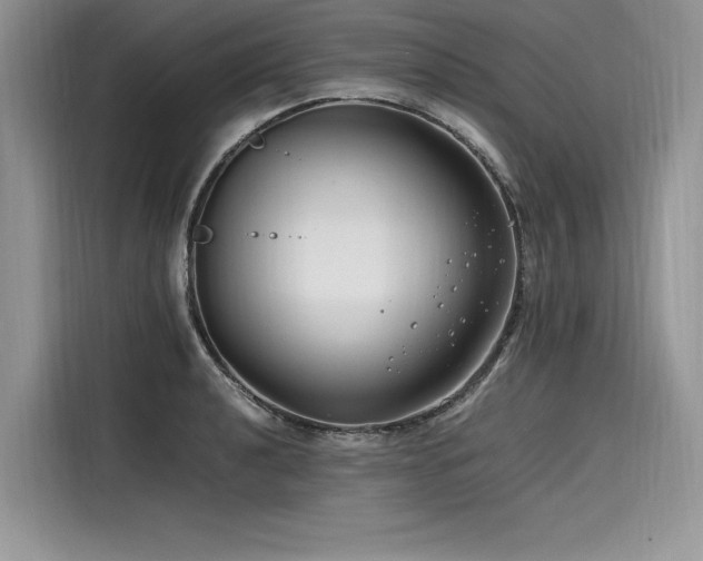 X0000116261040200911301149