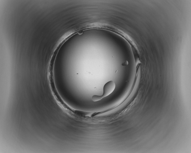 X0000116261042200911301149
