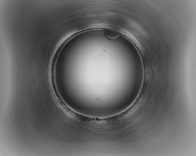 X0000116261043200911301149