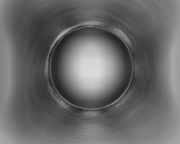 X0000116261044200911301149