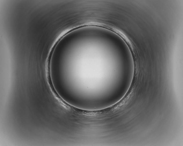 X0000116261048200911301149