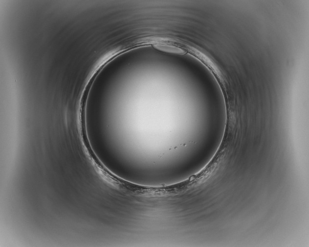 X0000116261050200911301149