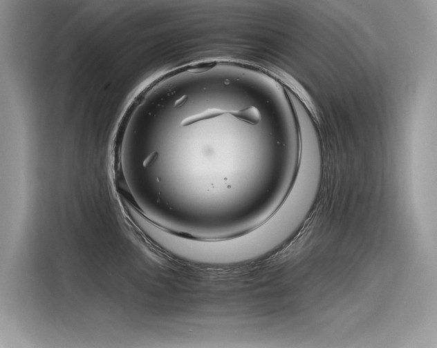 X0000116261051200911301149