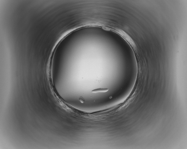 X0000116261052200911301149