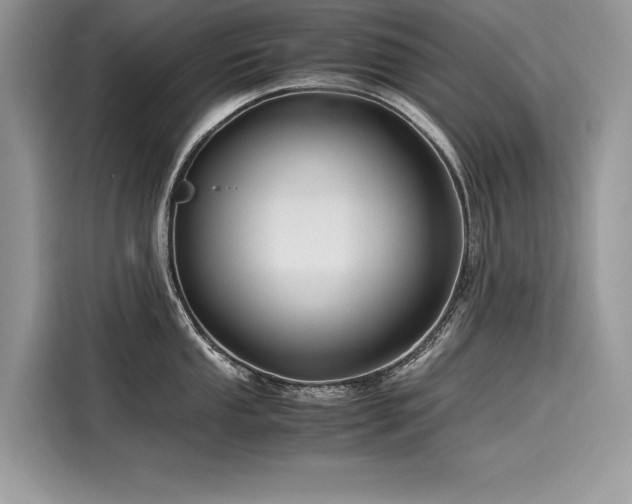 X0000116261053200911301149