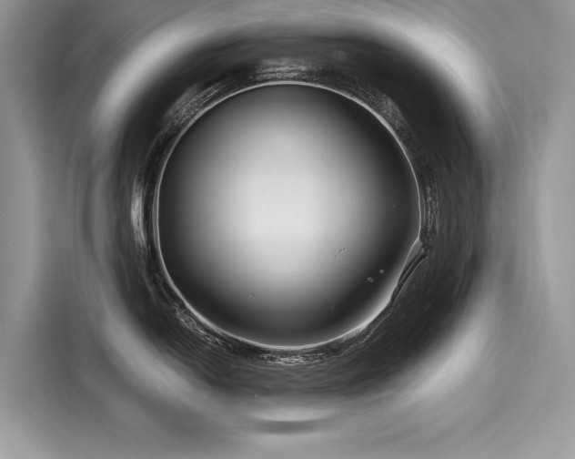 X0000116261054200911301149
