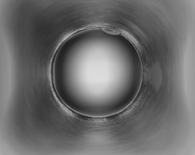 X0000116261055200911301149