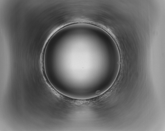 X0000116261056200911301149
