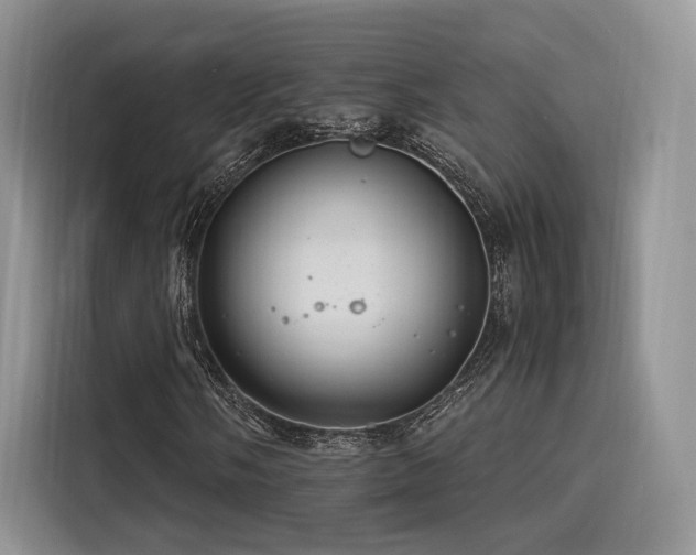 X0000116261058200911301149