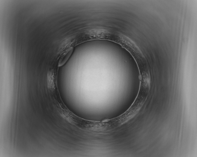 X0000116261060200911301148