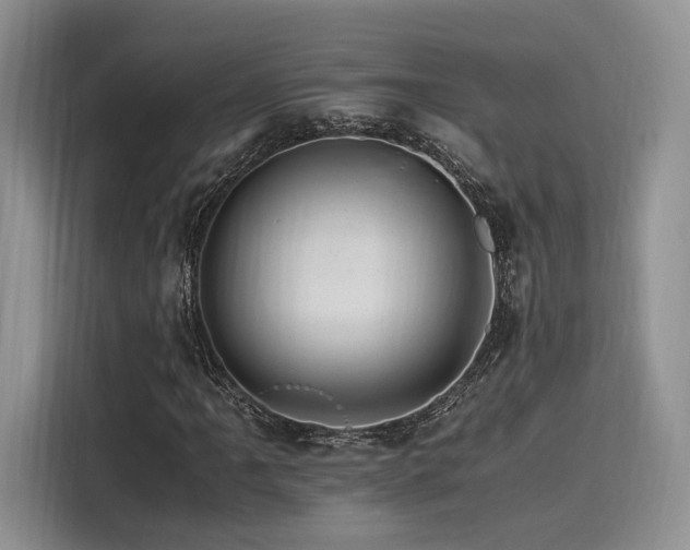 X0000116261061200911301148