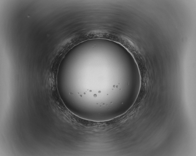 X0000116261062200911301148