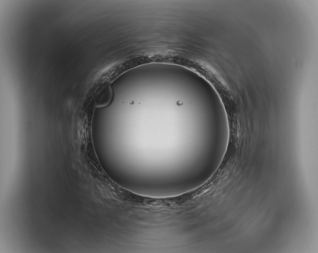 X0000116261063200911301148