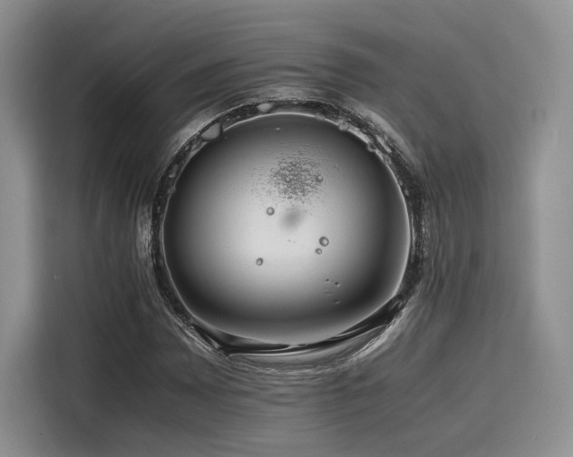 X0000116261065200911301148