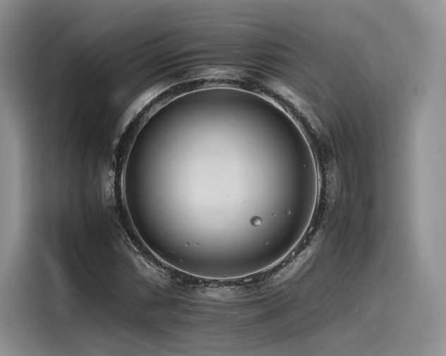 X0000116261066200911301148